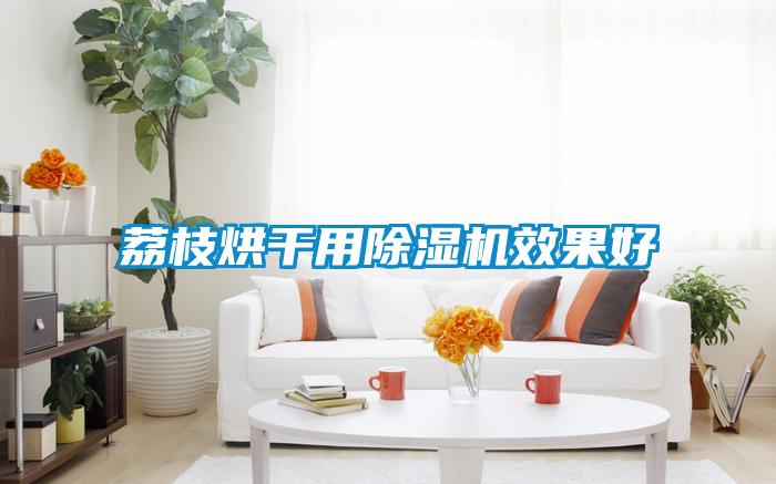 荔枝烘幹用91看片在线下载機效果好