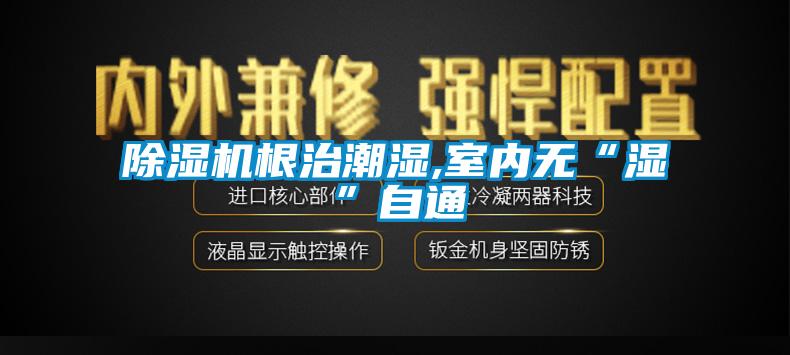 91看片在线下载機根治潮濕,室內無“濕”自通