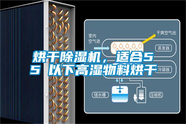 烘幹91看片在线下载機，適合55℃以下高濕物料烘幹