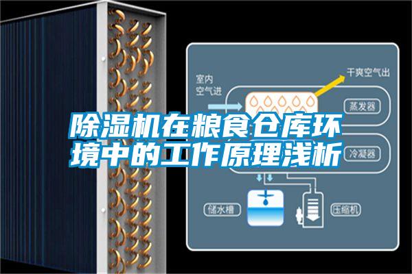 91看片在线下载機在糧食倉庫環境中的工作原理淺析