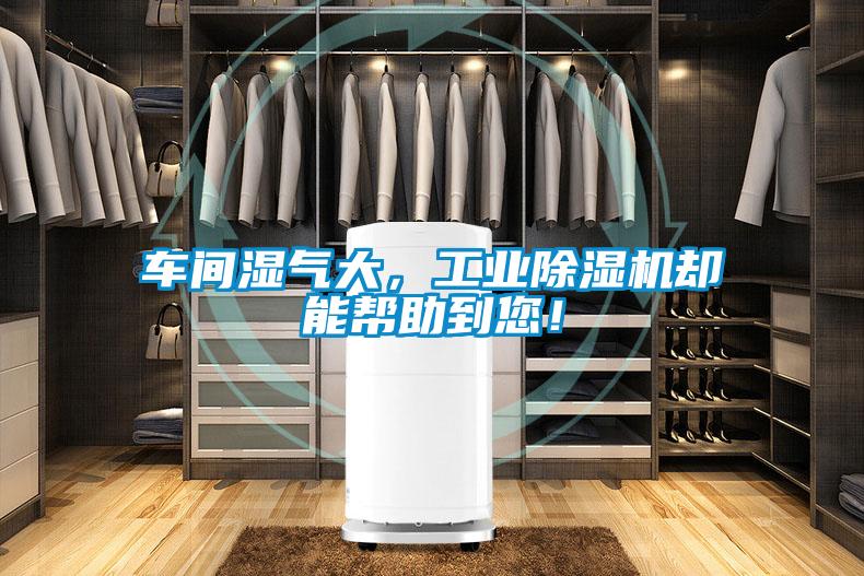 車間濕氣大，工業91看片在线下载機卻能幫助到您！