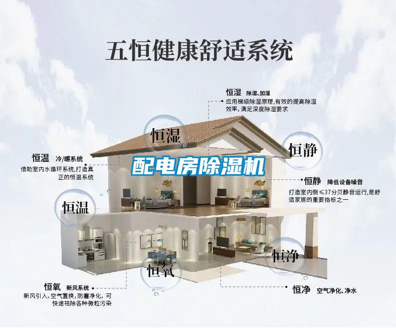 配電房91看片在线下载機