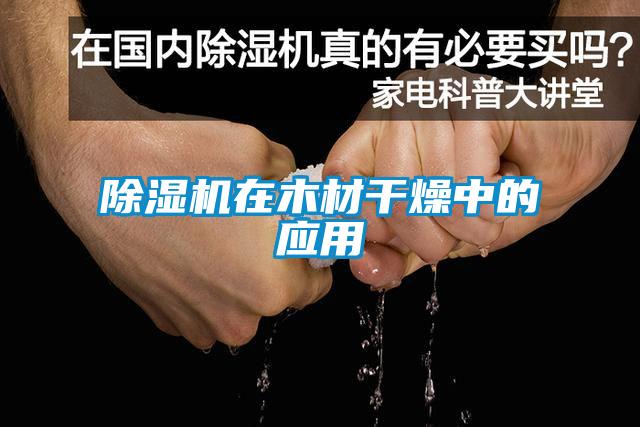 91看片在线下载機在木材幹燥中的應用