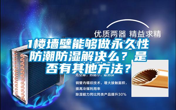 1樓牆壁能夠做永久性防潮防濕解決麽？是否有其他方法？