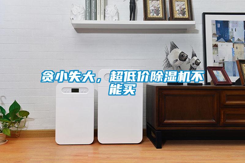 貪小失大，超低價91看片在线下载機不能買