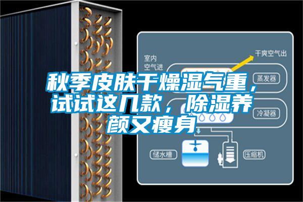 秋季皮膚幹燥濕氣重，試試這幾款，91看片在线下载養顏又瘦身