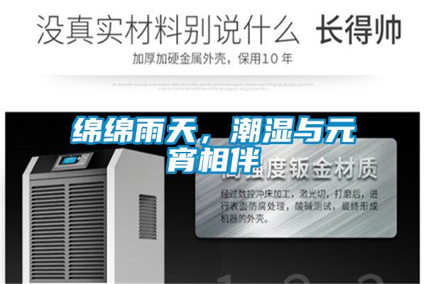 綿綿雨天，潮濕與元宵相伴