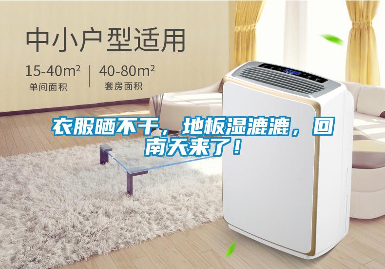 衣服曬不幹，地板濕漉漉，回南天來了！