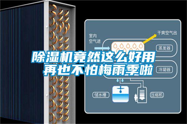91看片在线下载機竟然這麽好用 再也不怕梅雨季啦