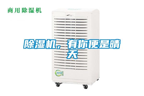 91看片在线下载機，有你便是晴天