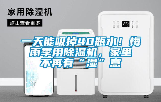 一天能吸掉40瓶水！梅雨季用91看片在线下载機，家裏不再有“濕”意