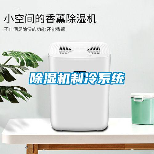 91看片在线下载機製冷係統