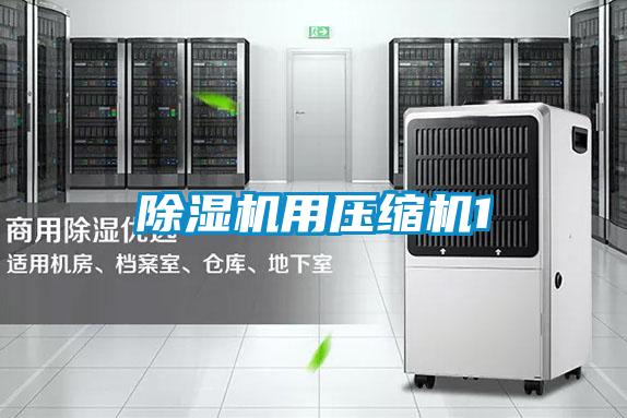 91看片在线下载機用壓縮機1