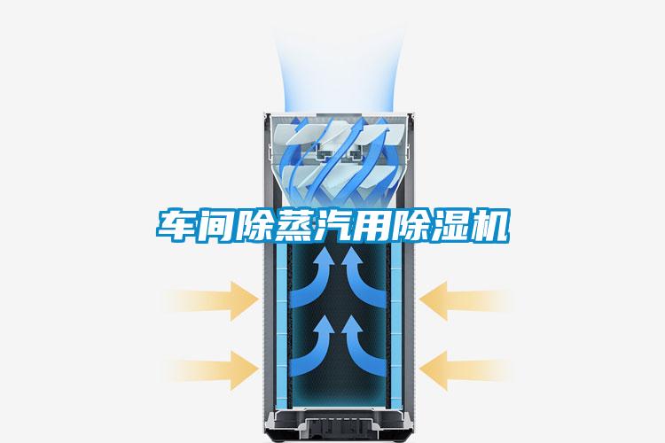 車間除蒸汽用91看片在线下载機