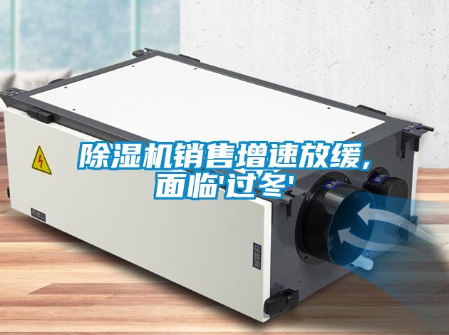 91看片在线下载機銷售增速放緩,麵臨'過冬'