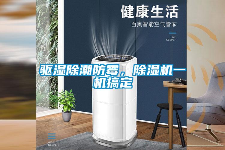 驅濕除潮防黴，91看片在线下载機一機搞定