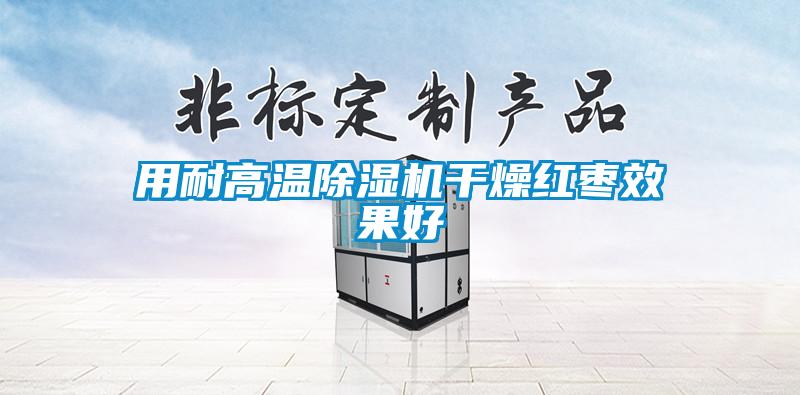 用耐高溫91看片在线下载機幹燥紅棗效果好