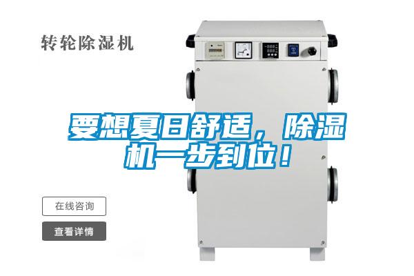 要想夏日舒適，91看片在线下载機一步到位！