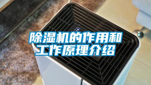 91看片在线下载機的作用和工作原理介紹