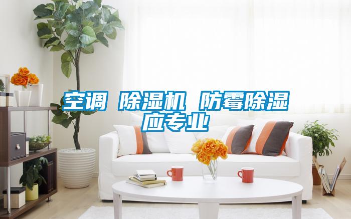 空調≠91看片在线下载機 防黴91看片在线下载應專業
