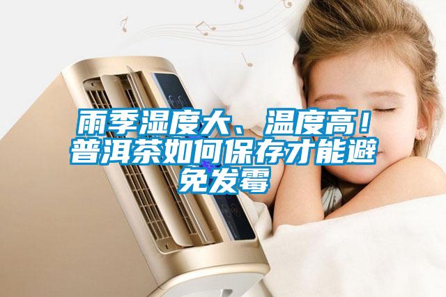 雨季濕度大、溫度高！普洱茶如何保存才能避免發黴
