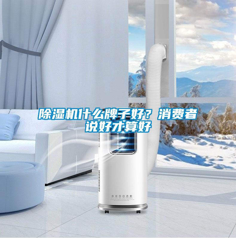 91看片在线下载機什麽牌子好？消費者說好才算好