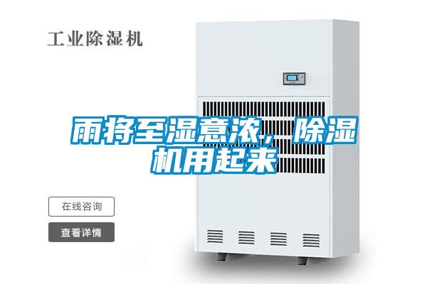 雨將至濕意濃，91看片在线下载機用起來