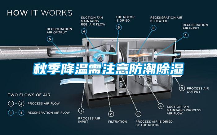 秋季降溫需注意防潮91看片在线下载