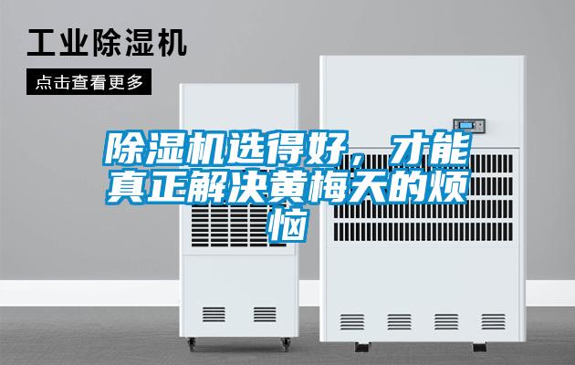 91看片在线下载機選得好，才能真正解決黃梅天的煩惱
