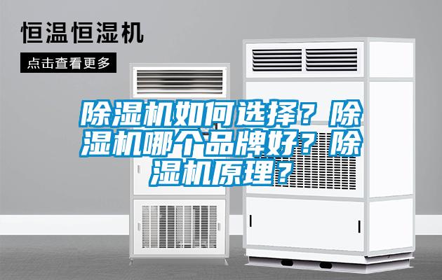 91看片在线下载機如何選擇？91看片在线下载機哪個品牌好？91看片在线下载機原理？