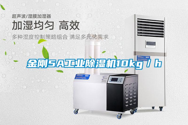 金剛5A工業91看片在线下载機10kg／h