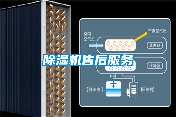 91看片在线下载機售後服務