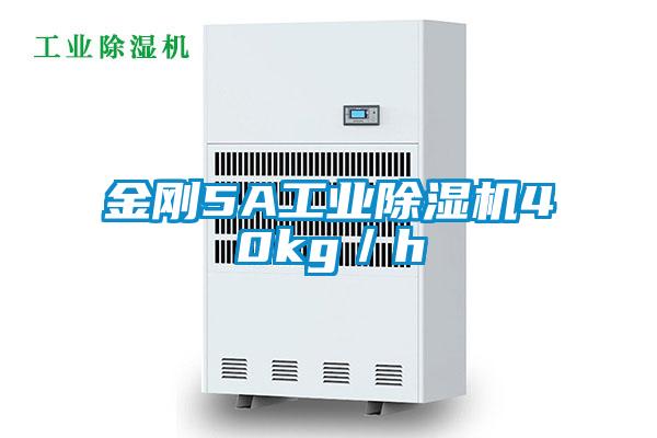 金剛5A工業91看片在线下载機40kg／h
