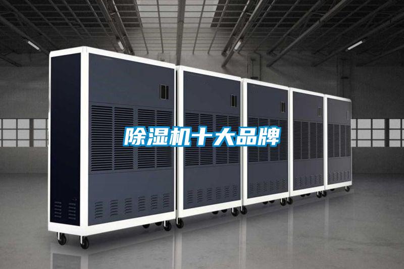 91看片在线下载機十大品牌