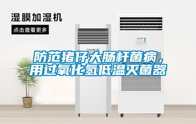 防範豬仔大腸杆菌病，用過氧化氫低溫滅菌器