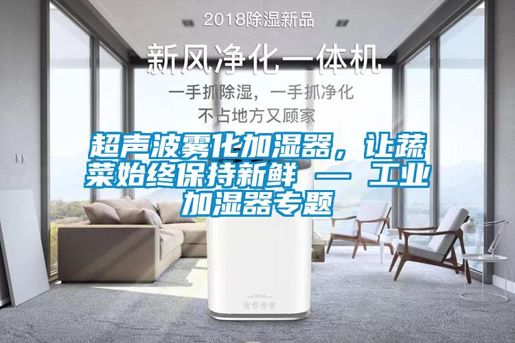 超聲波霧化加濕器，讓蔬菜始終保持新鮮 — 工業加濕器專題