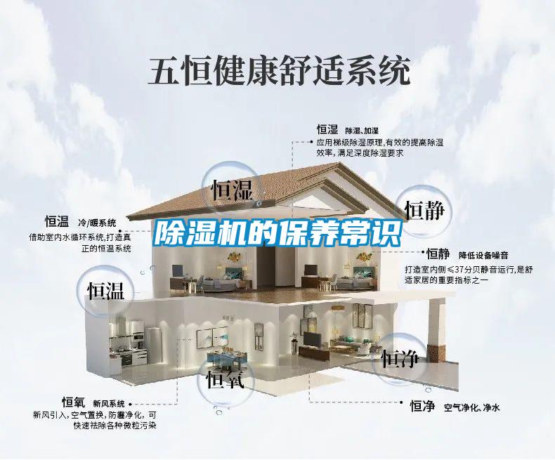 91看片在线下载機的保養常識