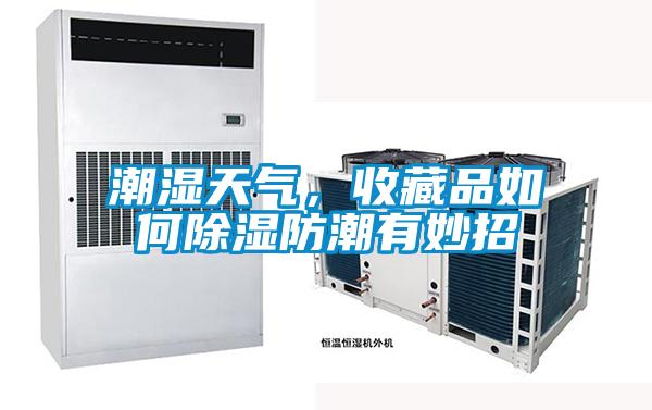 潮濕天氣，收藏品如何91看片在线下载防潮有妙招
