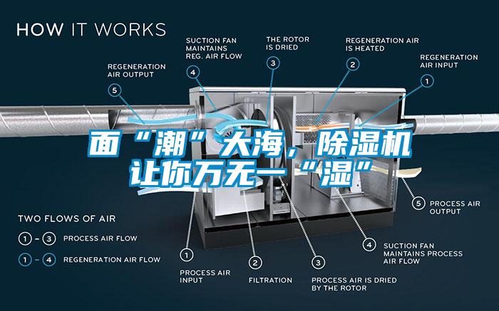 麵“潮”大海，91看片在线下载機讓你萬無一“濕”