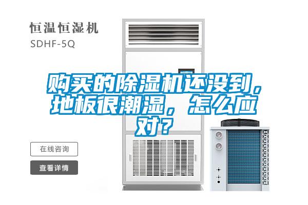 購買的91看片在线下载機還沒到，地板很潮濕，怎麽應對？