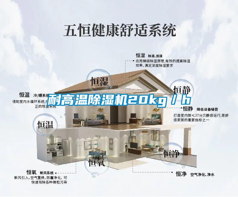 耐高溫91看片在线下载機20kg／h