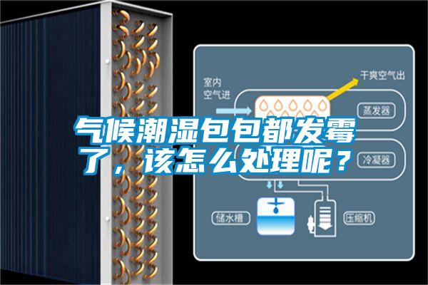氣候潮濕包包都發黴了，該怎麽處理呢？