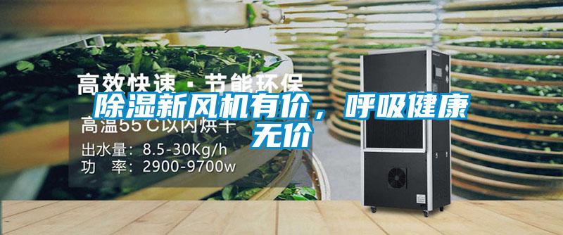 91看片在线下载新風機有價，呼吸健康無價