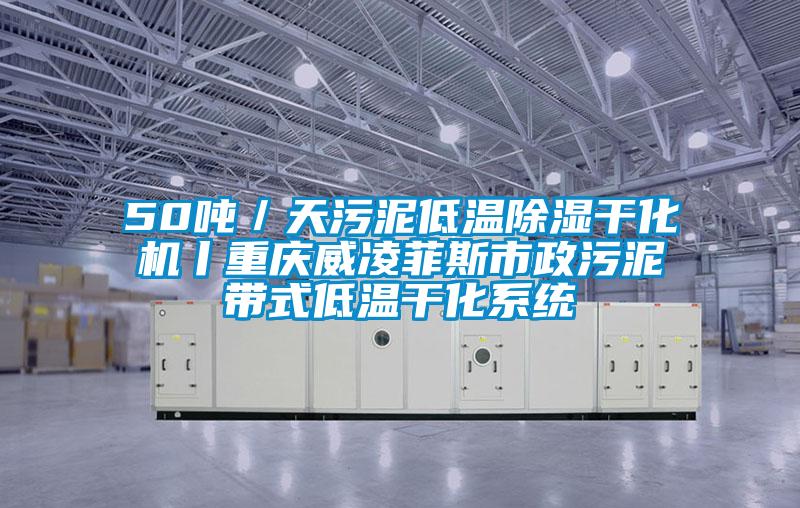 50噸／天汙泥低溫91看片在线下载幹化機丨重慶威淩菲斯市政汙泥帶式低溫幹化係統