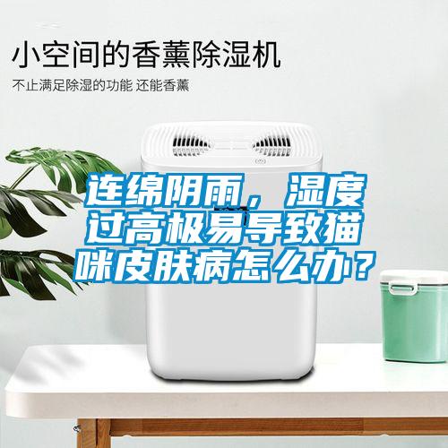 連綿陰雨，濕度過高極易導致貓咪皮膚病怎麽辦？