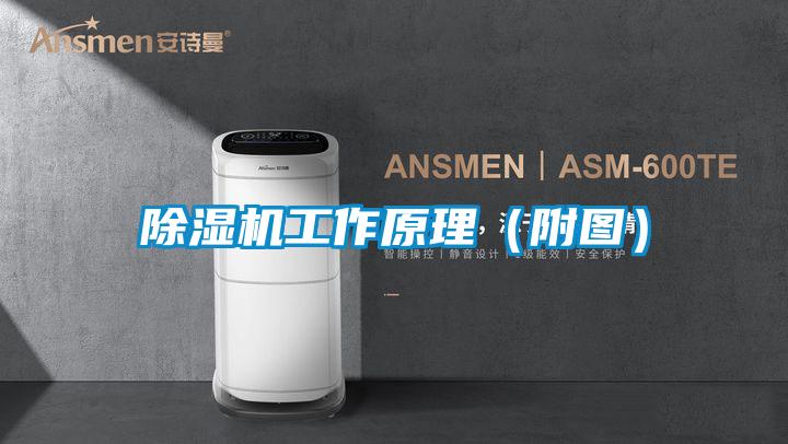 91看片在线下载機工作原理（附圖）