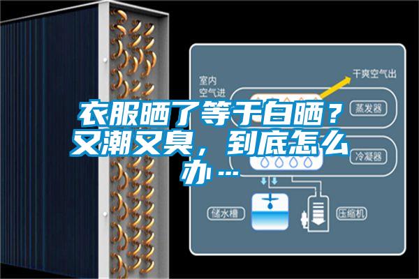 衣服曬了等於白曬？又潮又臭，到底怎麽辦…