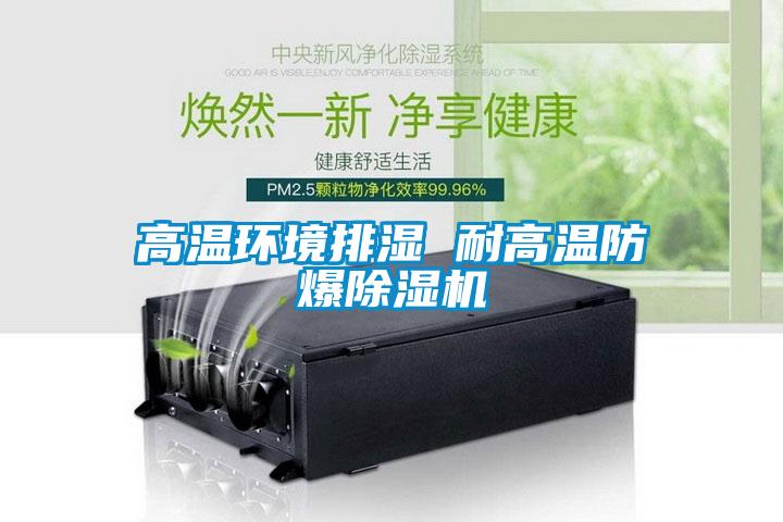 高溫環境排濕 耐高溫防爆91看片在线下载機