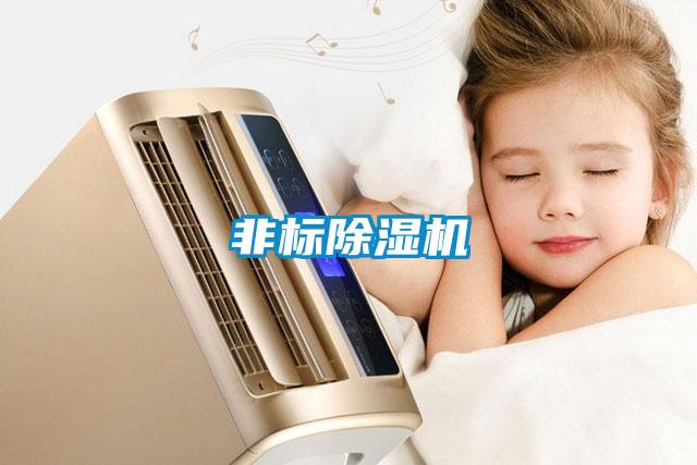 非標91看片在线下载機