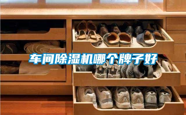 車間91看片在线下载機哪個牌子好